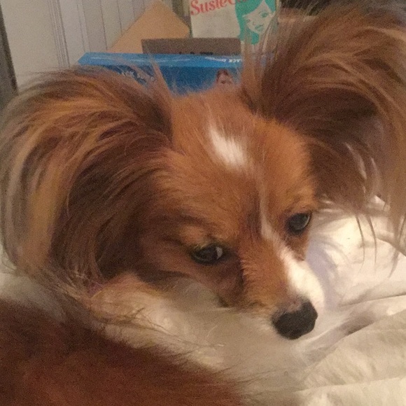 Meet your Posher, Taryn - Picture 1 of 1